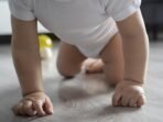 bayi-merangkak-ilustrasi-bayi-usia-sembilan-bulan-belum-bisa_240229202153-558.jpg