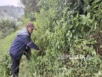 warga-kampung-citiis-rt-0119-desa-cihanjuang-rahayu-kecamatan_251021144229-252.jpg